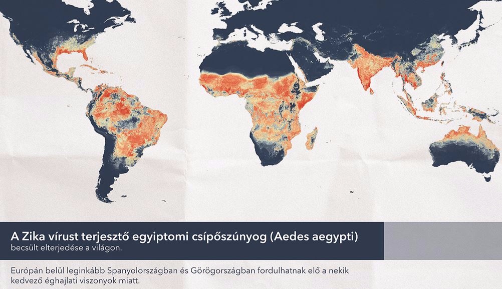 Forrás: https://faktor.hu/faktor-zika-virus-segithet-az-osszes-szunyog-kiirtasa